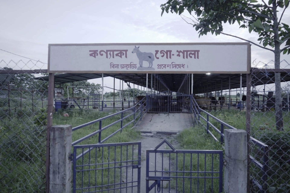 Dairy-1