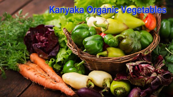 Assortment of vegetables and green herbs. Market. Vegetables in a basket on a dark background