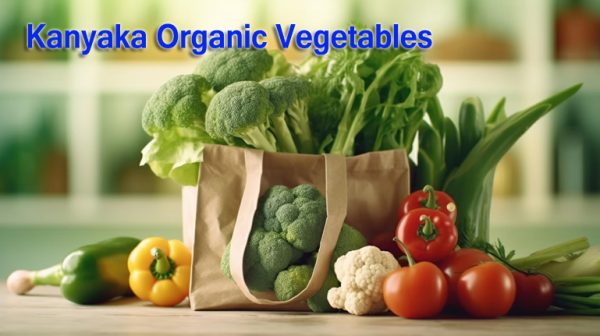 Organic-Vegitables-4